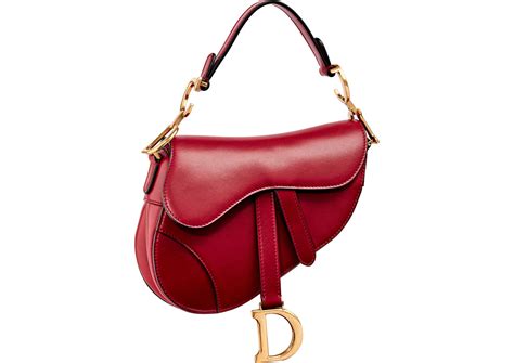 dior saddle bag sg